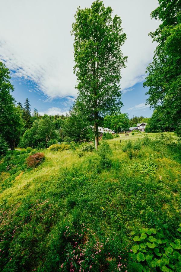 Apartman U Vlka - Hubertus, Karlova Studánka Exterior photo